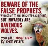Jude On Apostasy: beware-false-prophets-wolf-in-sheep-clothes